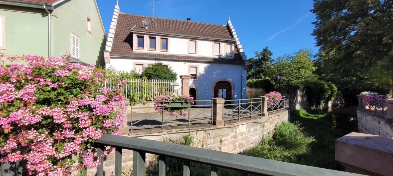 Le Cocon Du Rimbach Appartement Soultz-Haut-Rhin Buitenkant foto